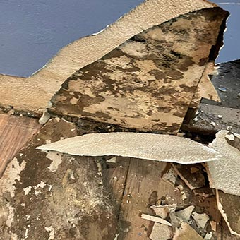 Mold Detecting Project Under Wallpapers in Maryland, 20874