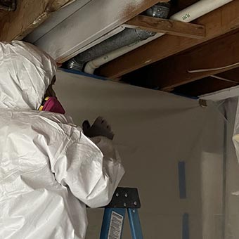 Mold Elimination From Wood in Germantown 20874